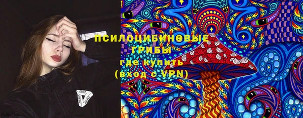 крисы Алексин