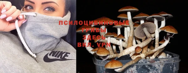 экстази Аркадак