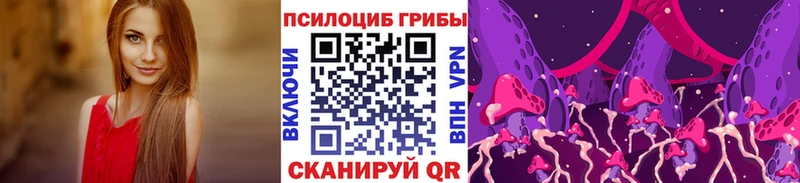 магазин    Бежецк  Галлюциногенные грибы Psilocybe 